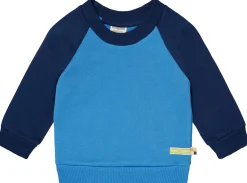 Sweatshirt mit Raglanärmeln