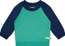 Sweatshirt mit Raglanärmeln